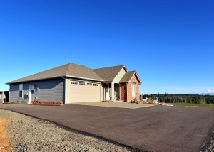 Custom Brick House